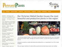 Tablet Screenshot of pennardplants.com